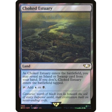 Choked Estuary