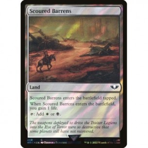 Scoured Barrens