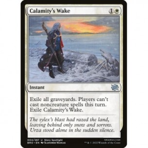 Postumi della Calamità