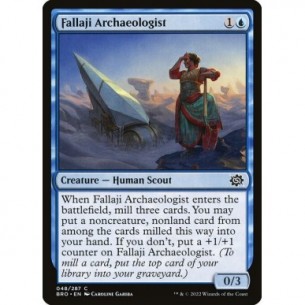 Archeologa di Fallaji