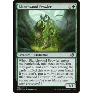 Predatore di Boscopallido