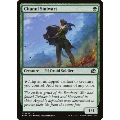 Citanul Stalwart