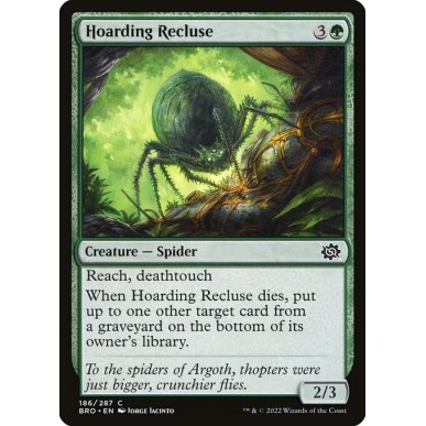 Hoarding Recluse