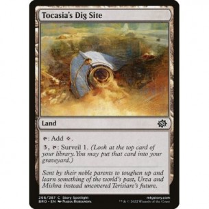 Scavo di Tocasia
