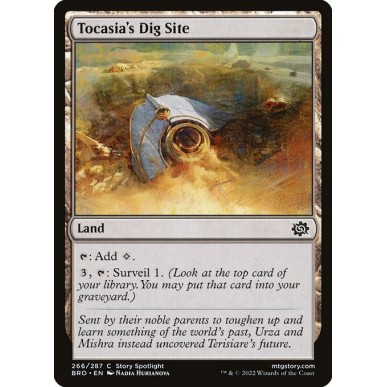 Scavo di Tocasia