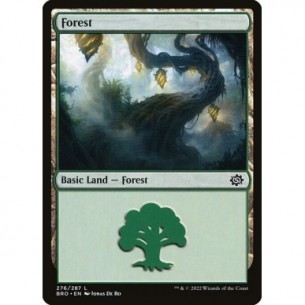 Foresta