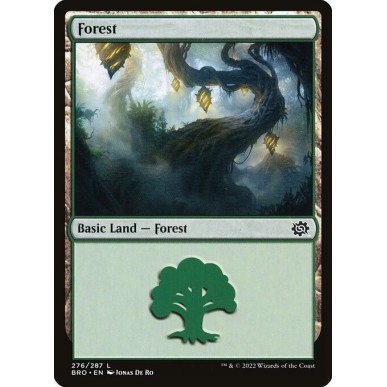 Foresta