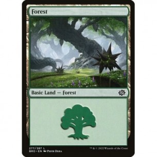Foresta