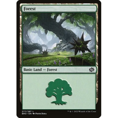 Foresta