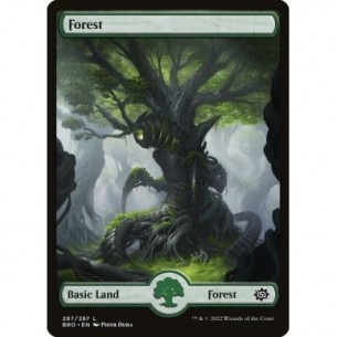 Foresta