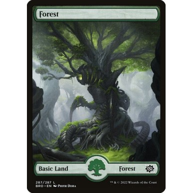 Foresta