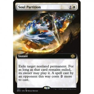 Soul Partition
