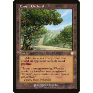 Exotic Orchard