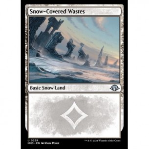 Snow-Covered Wastes