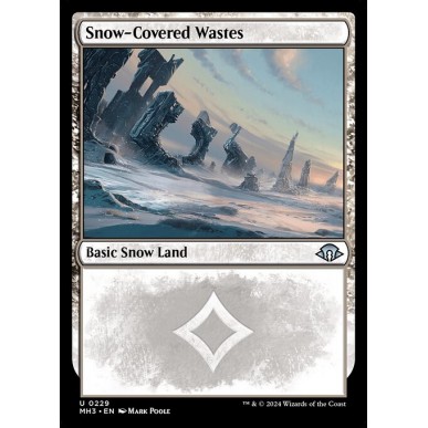 Snow-Covered Wastes