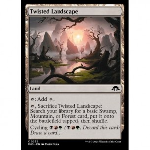 Twisted Landscape