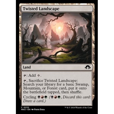 Twisted Landscape