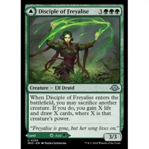 Disciple of Freyalise //...