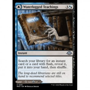 Waterlogged Teachings //...