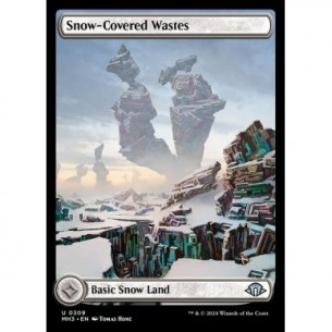 Snow-Covered Wastes