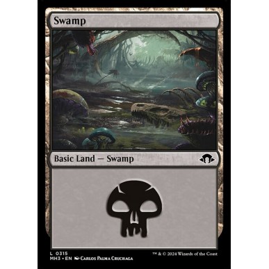 Swamp