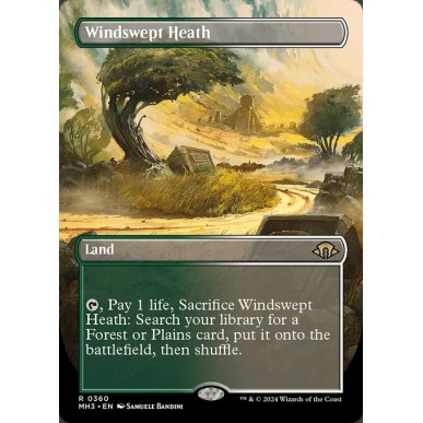 Windswept Heath