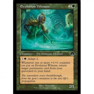 Evolution Witness