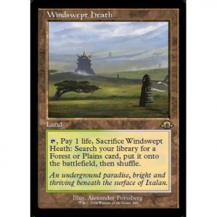 Windswept Heath