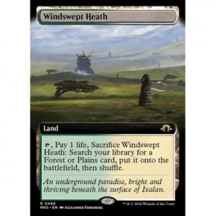 Windswept Heath