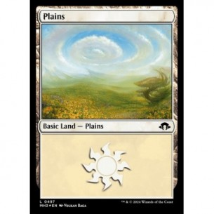 Plains