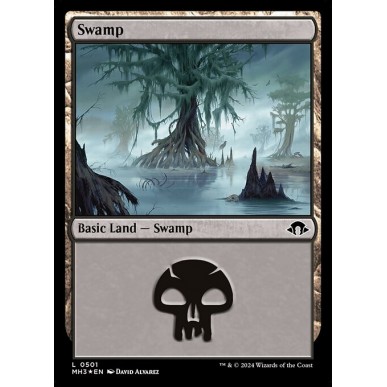 Swamp
