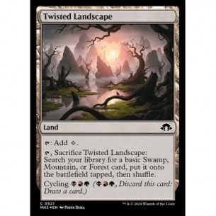 Twisted Landscape