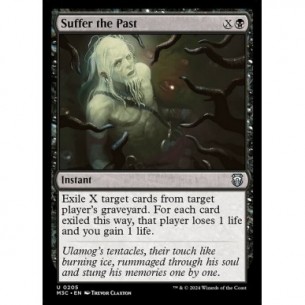 Suffer the Past