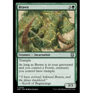 Brawn