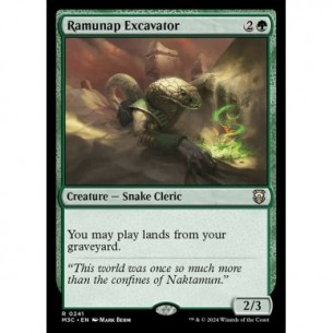 Ramunap Excavator