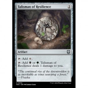 Talisman of Resilience