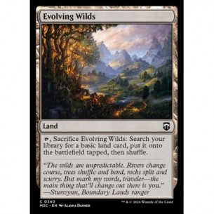 Evolving Wilds
