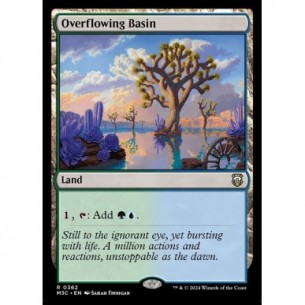 Overflowing Basin