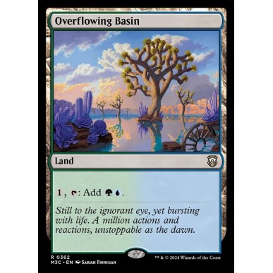 Overflowing Basin