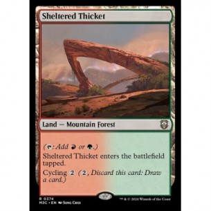 Sheltered Thicket