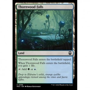 Thornwood Falls