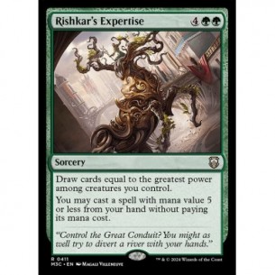 Rishkar's Expertise