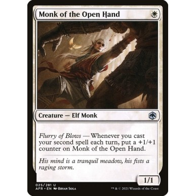 Monk of the Open Hand