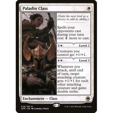 Paladin Class