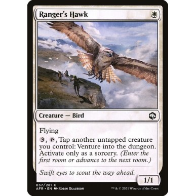 Ranger's Hawk