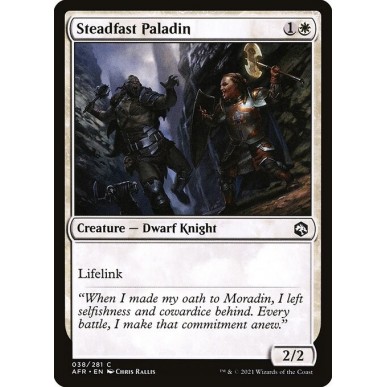 Steadfast Paladin