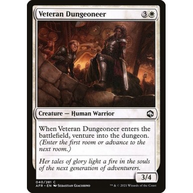 Veteran Dungeoneer