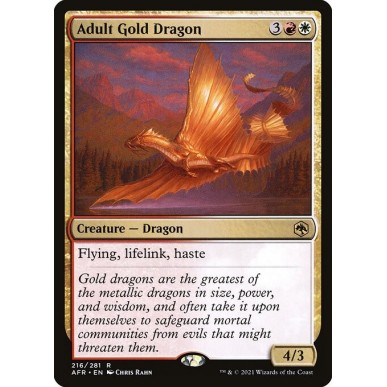 Drago d'Oro Adulto