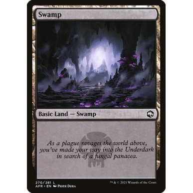 Swamp