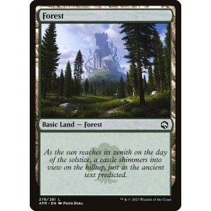 Forest